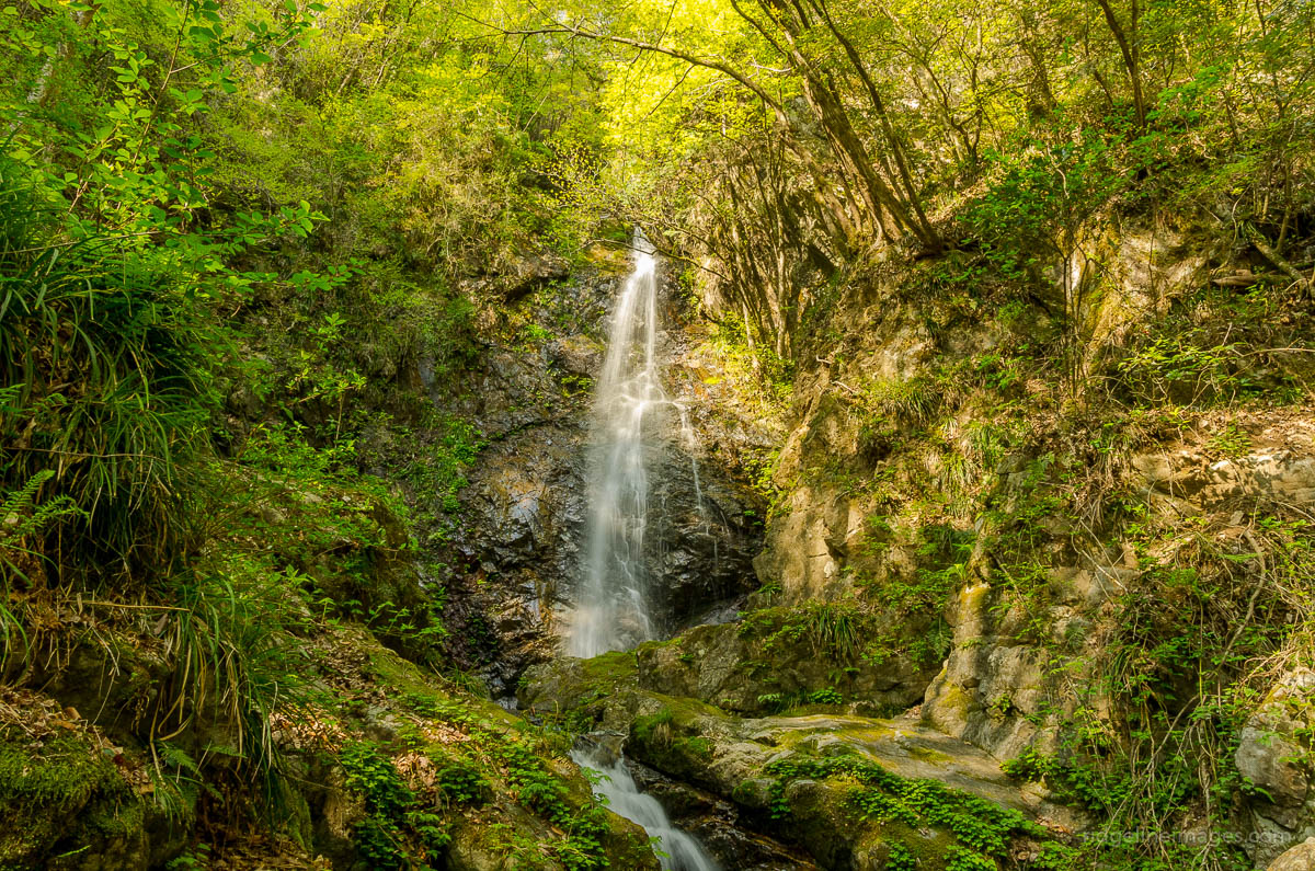 川口隆　「Water Fall」F3 Haha no Shirataki Waterfall (2025) - All You Need to Know