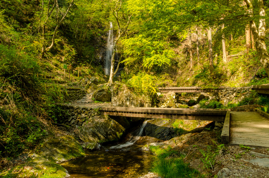 Hossawa Falls Hinohara Village