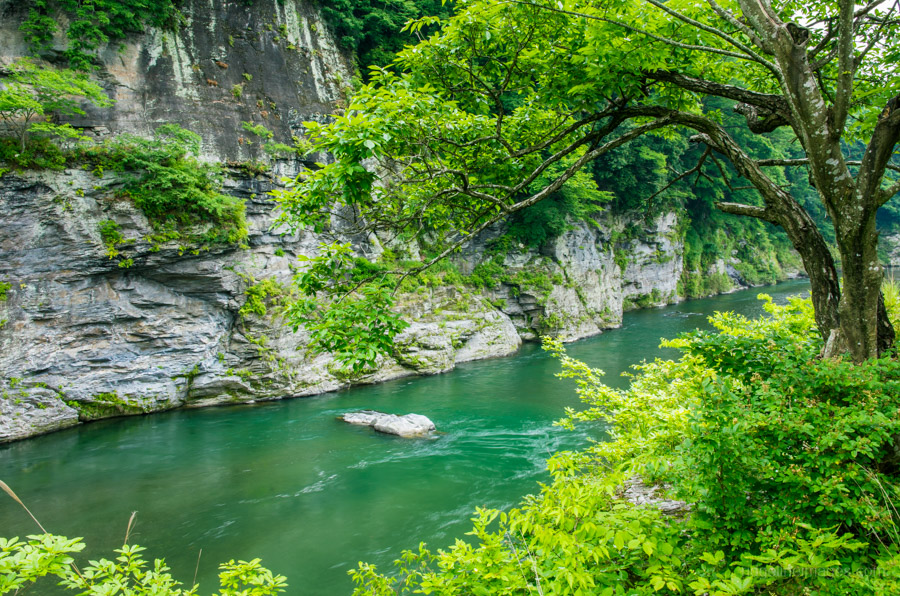 Nagatoro River Nagatoro