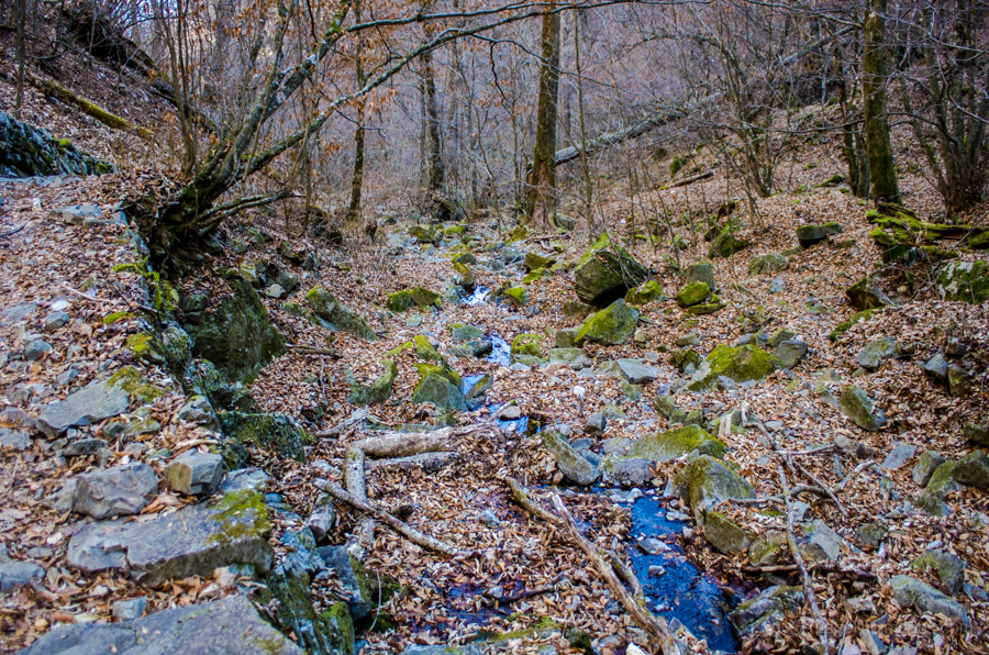 Tokyo Citizen's Forest, Hinohara Village