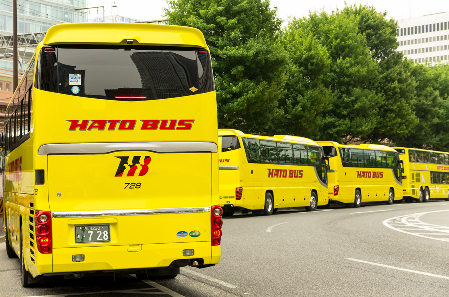 Hato Bus Tour