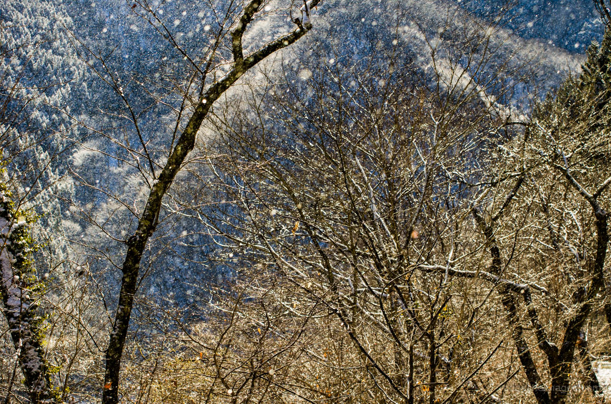 Early morning snow flurry passes through