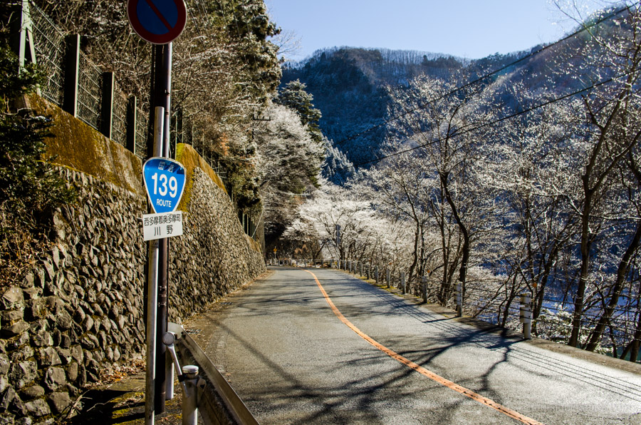 Trees cast shadows over the road