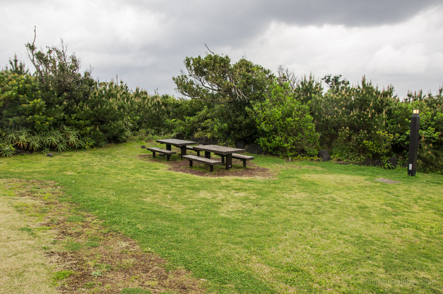 Communal picnic tables