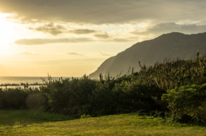 Hachijo-jima: the Hawaii of Japan - RIDGELINEIMAGES.com