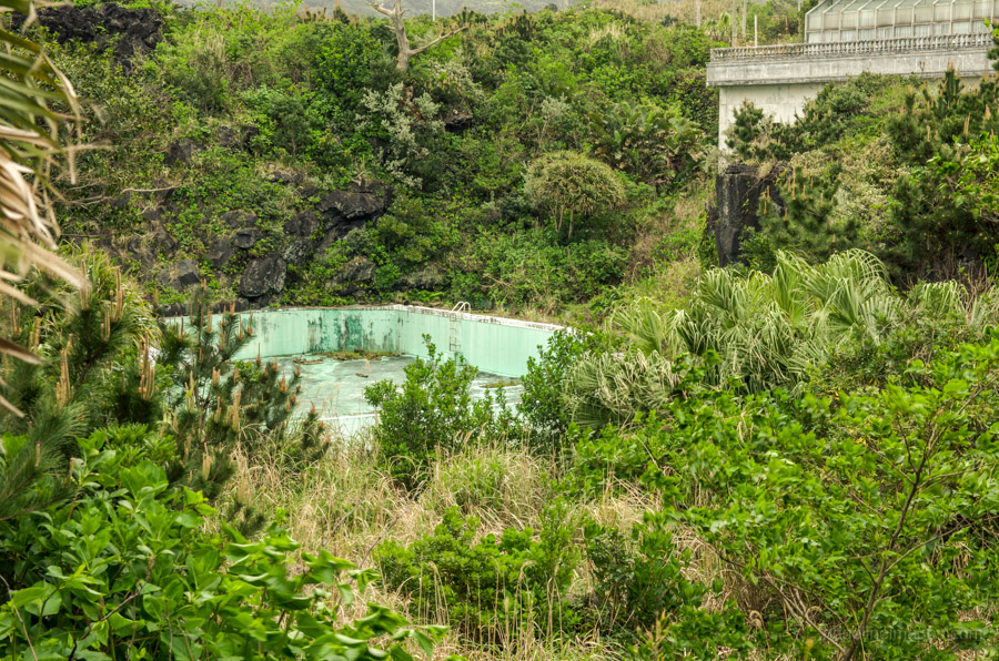 Swimming pool in rear garden