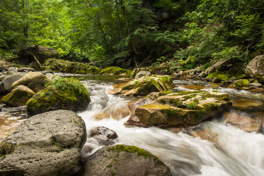 Naramata River 1