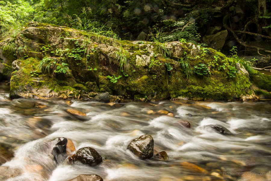 Naramata River 3