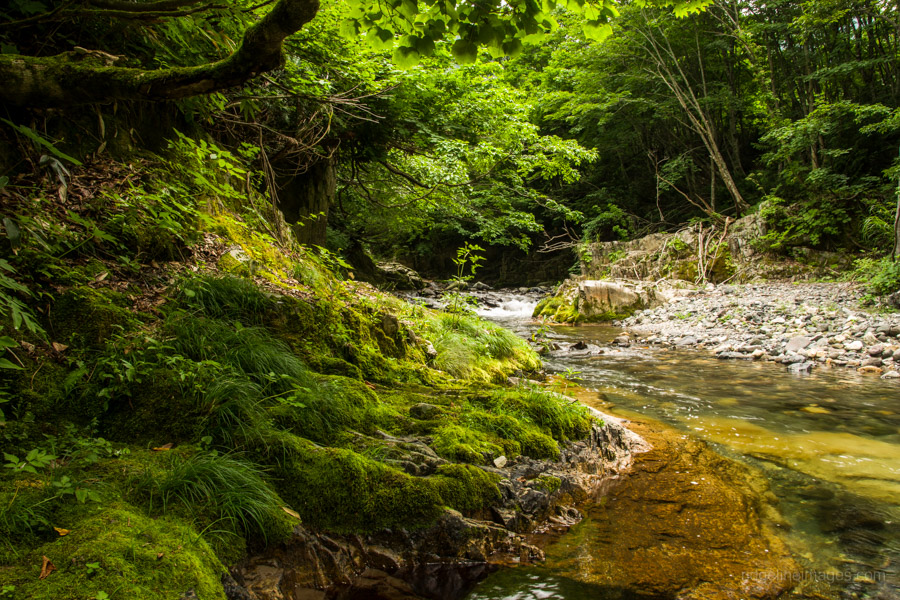 Naramata River 4