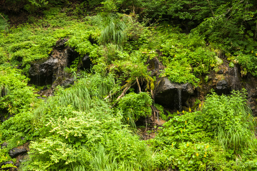 Naramata River waterfall