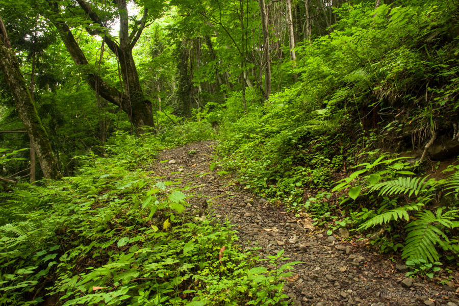 Path down to the Urami Falls