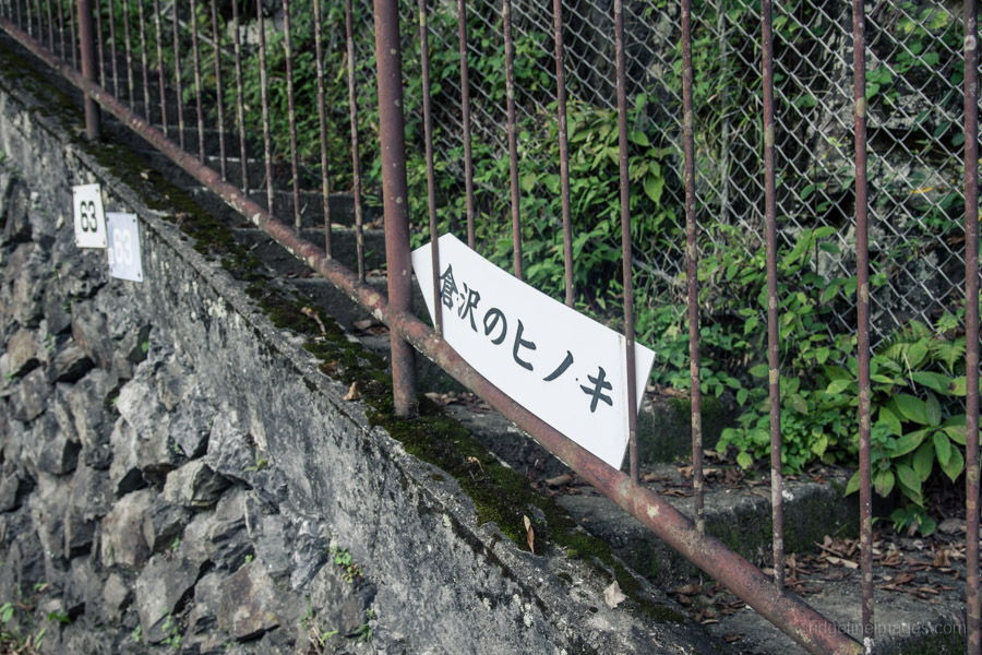 stairs-heading-up-to-the-hiking-path