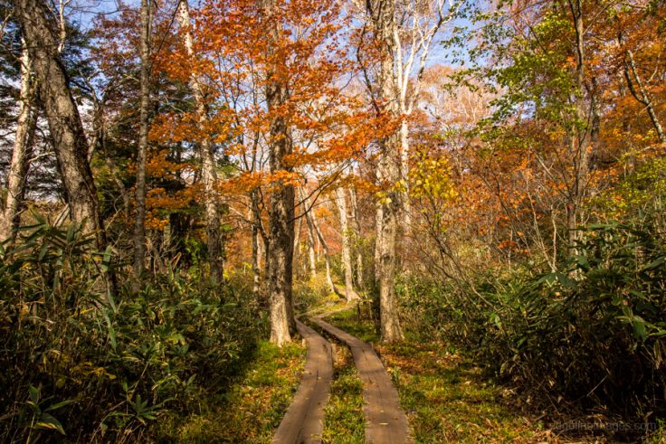 Oze National Park in Autumn - RIDGELINEIMAGES.com