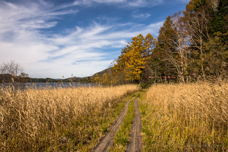 blue-skies-proffer-a-feeling-of-autumn