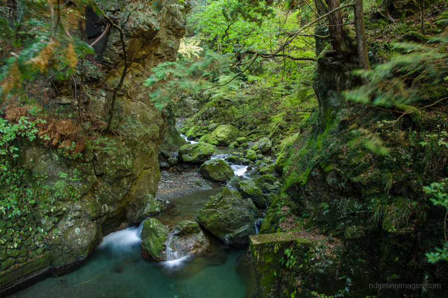 gorge-along-the-unasawa-creek