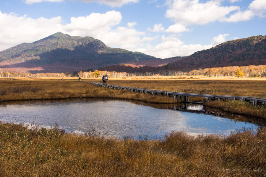 hikers-pass-by-a-small-pond