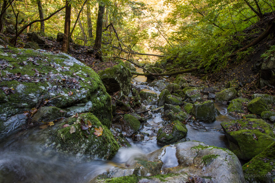 looking-down-the-unasawa-creek