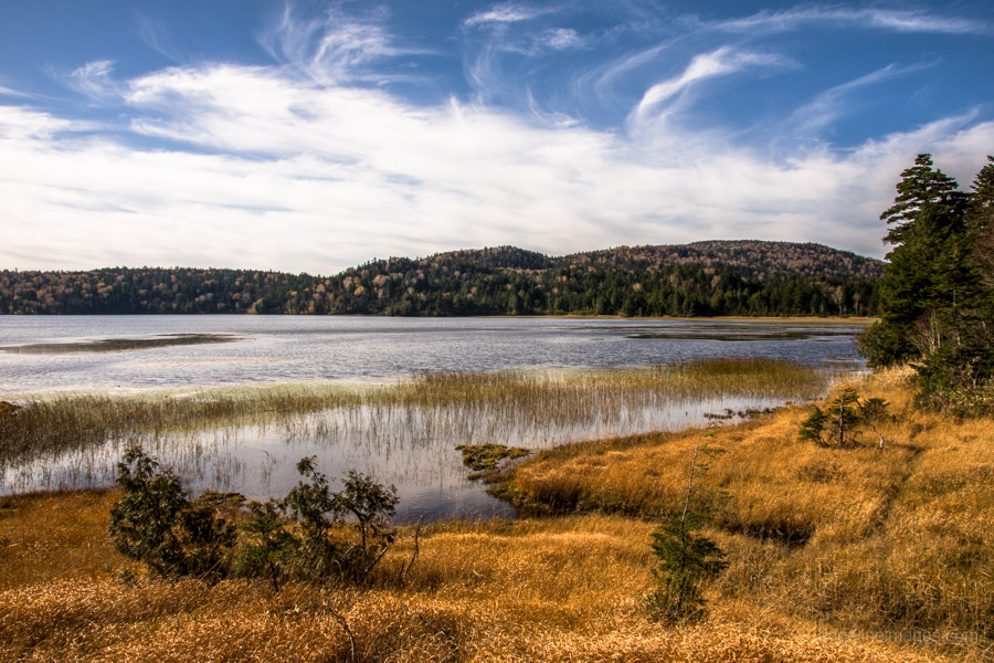 overlooking-lake-ozenuma