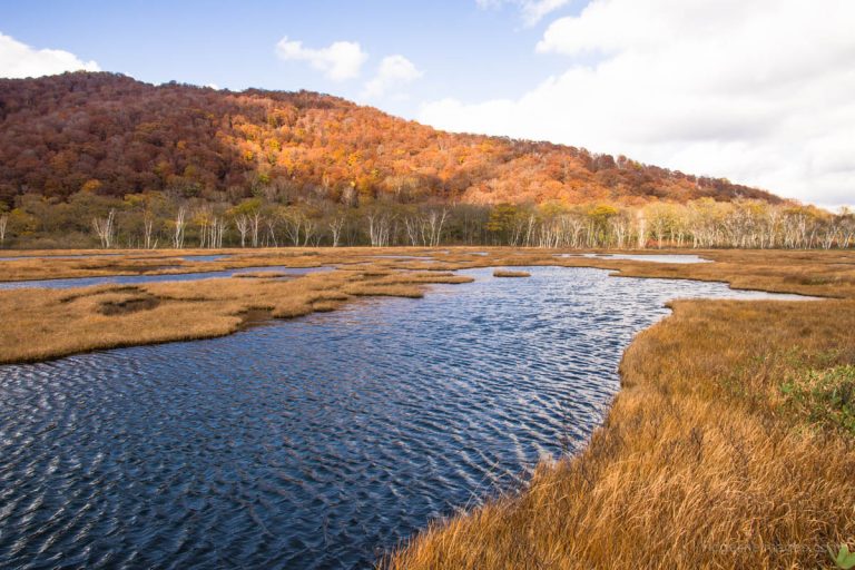 Oze National Park in Autumn - Ridgeline Images