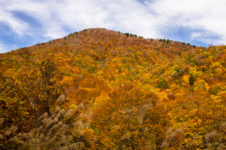 view-over-the-mountains-near-lake-ozenuma