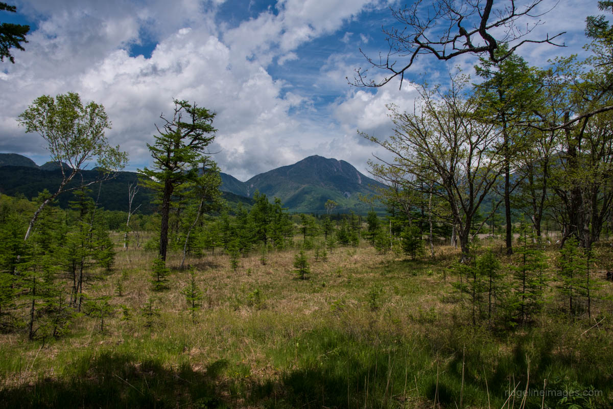 Odashirogahara-Marshlands.jpg