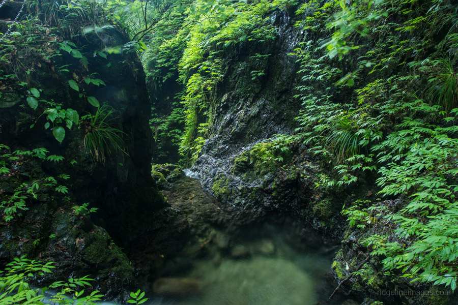 Kongo Falls in Hachioji City - Ridgeline Images