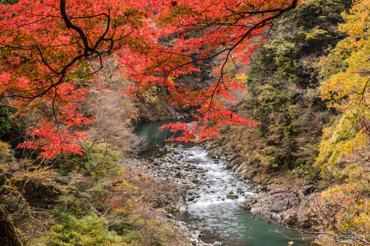 Okutama Mukashi Michi Hike - RIDGELINEIMAGES.com