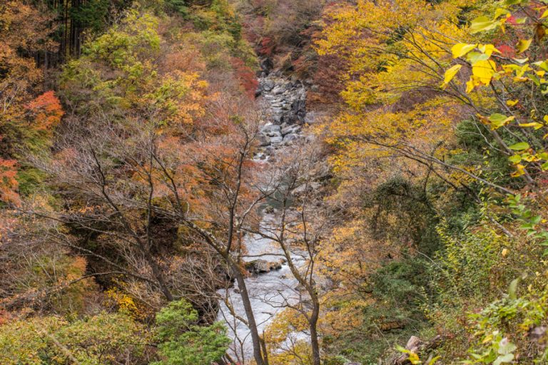 Okutama Mukashi Michi Hike - RIDGELINEIMAGES.com