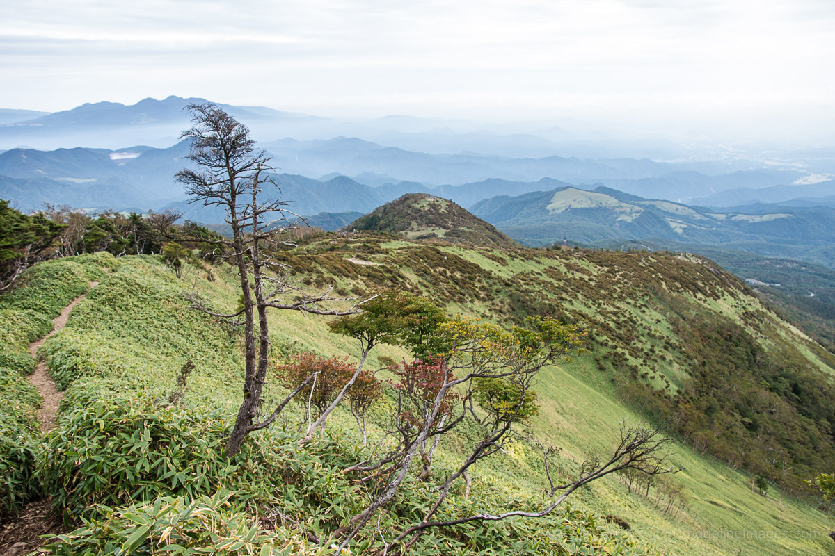 Mount-Nyoho-hike.jpg