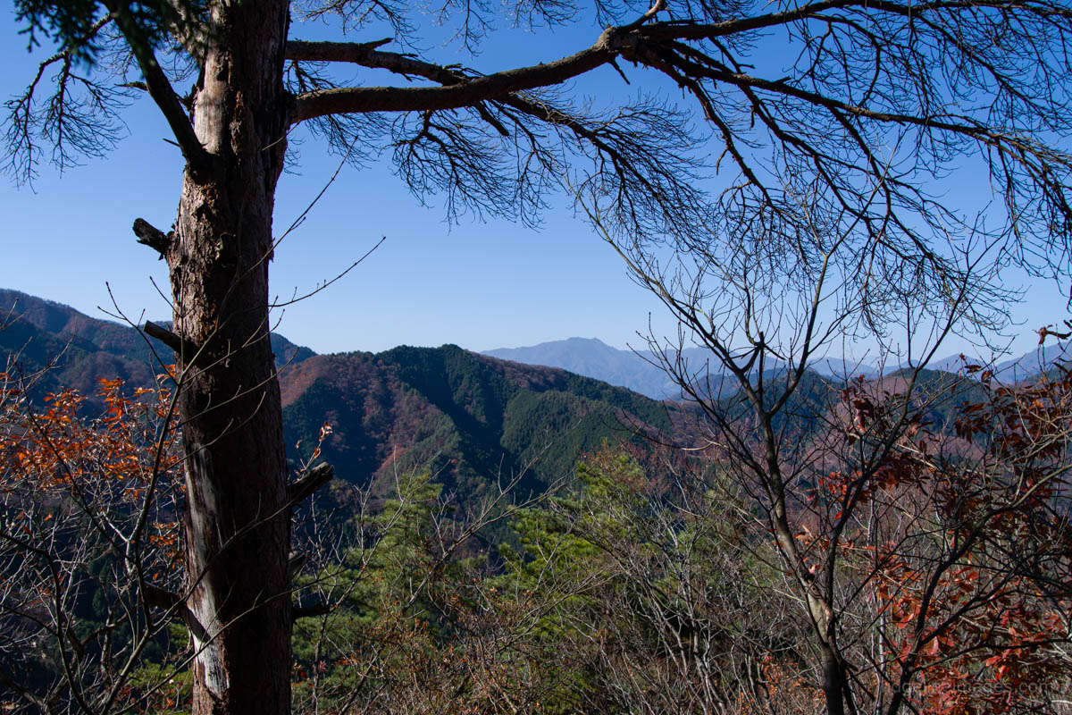 山山 Mt. Nijurokuya 二十六夜山 - RIDGELINEIMAGES.com